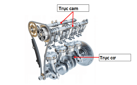 Trục Cam Ô Tô Là Gì? Trục Cam Hút, Trục Cam Xả