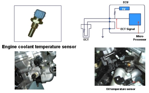 Vị trí và cách kiểm tra cảm biến nhiệt độ nước làm mát