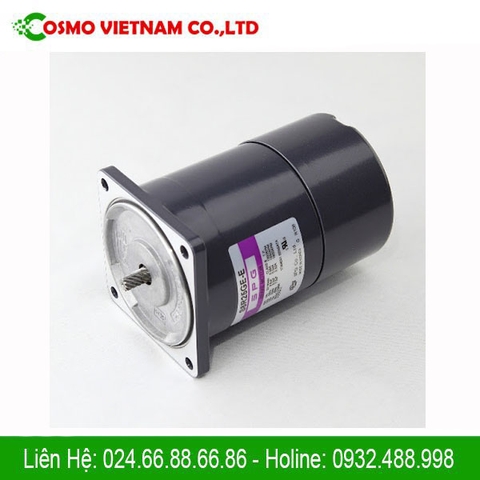 Động cơ điện Model: S9190GXH - V12CE