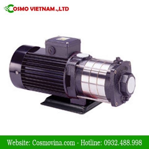 Máy bơm trục ngang WALRUS Đài Loan TPH4T6K