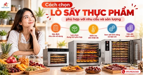Cách chọn lò sấy thực phẩm phù hợp với nhu cầu và sản lượng