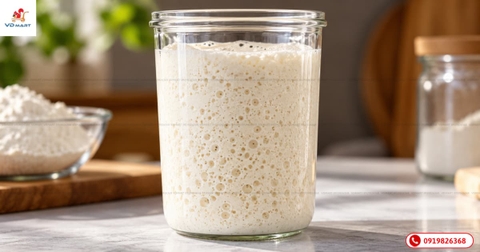 Cách nuôi men sourdough từ đầu cho người mới dễ thành công