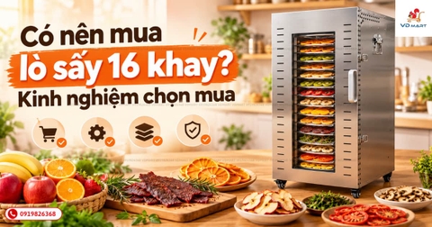 Có nên mua lò sấy 16 khay? Kinh nghiệm chọn mua