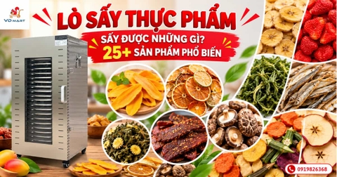 Lò sấy thực phẩm sấy được những gì? 25+ sản phẩm phổ biến