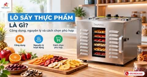 Lò sấy thực phẩm là gì? Công dụng, nguyên lý và cách chọn phù hợp