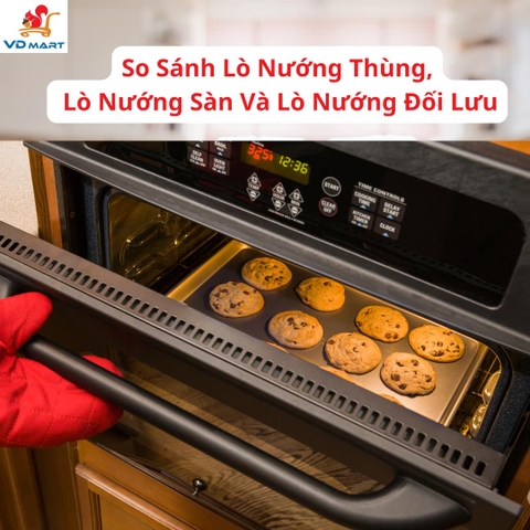 So Sánh Lựa Chọn Lò Nướng Thùng, Lò Nướng Sàn Và Lò Nướng Đối Lưu
