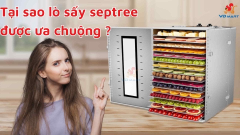 Tại sao lò sấy septree được nhiều người quan tâm ưa chuộng