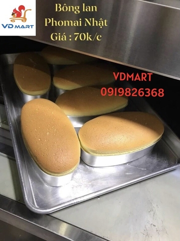 Lò sàn 1 tầng 2 khay ukoeo rp20 nướng bông lan