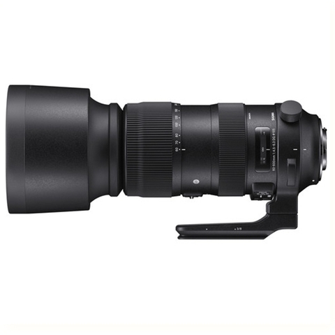 Sigma 60-600mm f/4.5-6.3 DG OS HSM Sports for Ni/Ca - Chính Hãng