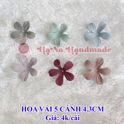 Hoa 5 cánh