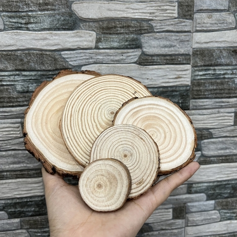 Miếng gỗ thông size từ 4-12cm dùng làm sản phẩm handmade