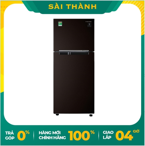 Tủ lạnh Samsung Inverter 236 lít RT22M4032BY/SV