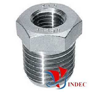 Stainless Steel Reducing Hex Bushing Threaded End