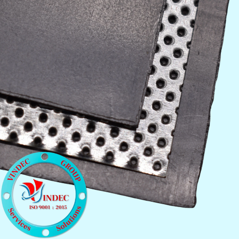 Stainless Steel Tanged Graphite Sheet