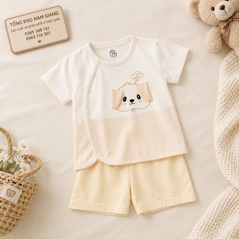 Bộ cộc sơ sinh thun lạnh HG HGBC5