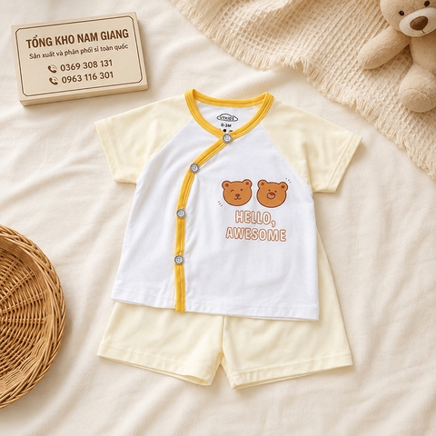 Bộ cộc sơ sinh thun lạnh VTKids cài chéo VTBC14