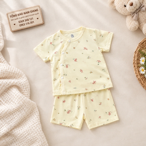 Bộ cộc sơ sinh thun lạnh HG HGBC2