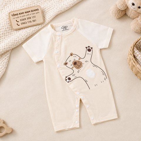 Body sơ sinh cộc tay thun lạnh VTKids VTBODY21