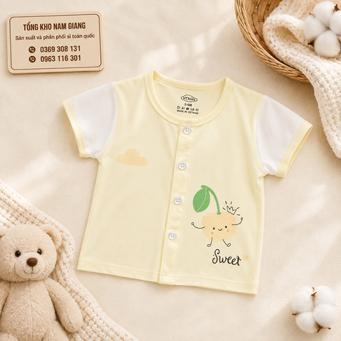 Áo cộc sơ sinh thun lạnh VTKids VTAC1