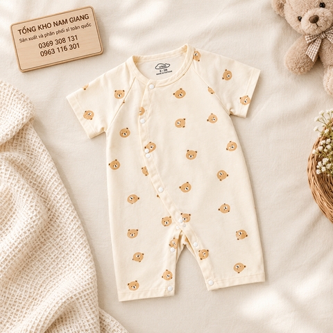 Body sơ sinh cộc tay thun lạnh VTKids VTBODY20