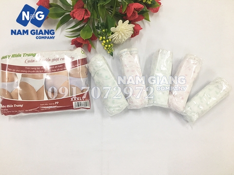 Quần lót giấy Hiền Trang cao cấp (gói 5 chiếc)