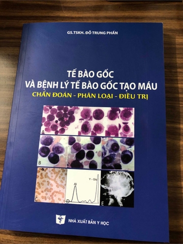 Tế bào gốc và bệnh lý tế bào gốc tạo máu