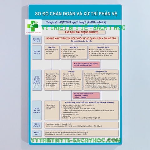Tranh Phác đồ chống sốc phản vệ (ép gỗ)