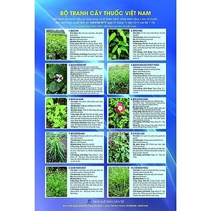 Bộ tranh cây thuốc 8 tờ