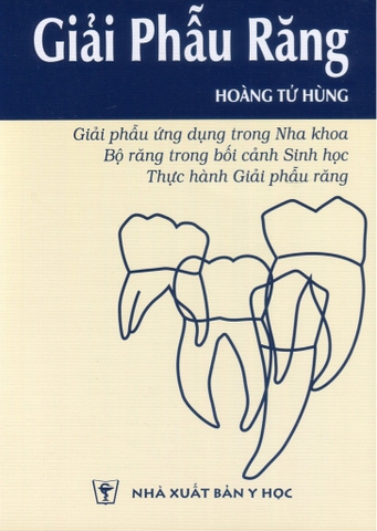 Sách -  Giải phẫu răng (Hoàng Tử Hùng)