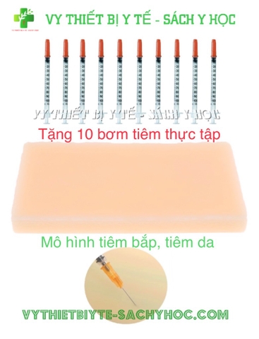 Mô hình tiêm bắt ( tặng 10 bơm tiêm )