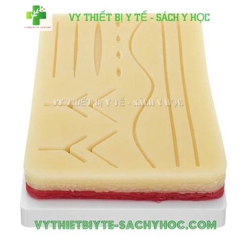 Mô Hình Khâu da ( chân đế sắt sơn trắng )