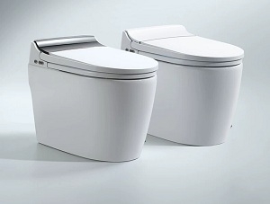 Gia đình bạn có phù hợp mua bồn cầu cảm ứng tự động hay không? 