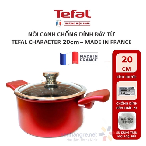 Nồi nhôm chống dính đáy từ Tefal Character 20cm C6824475