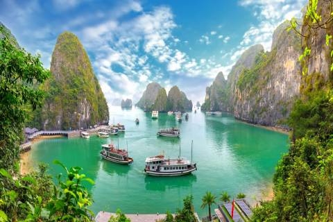 Đặt tour Hạ Long giá tốt - Trải nghiệm trọn vẹn cùng Ted Việt
