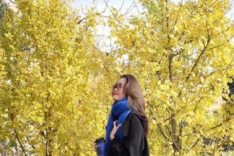 Du lịch mùa ngân hạnh ở Sa Pa – Săn “mùa thu Hàn Quốc” giữa lòng Tây Bắc