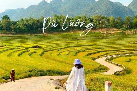 Du lịch Pù Luông từ Hà Nội: Kinh nghiệm và những trải nghiệm đẹp nhất