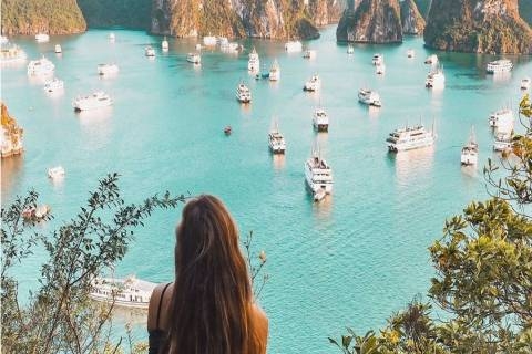 Kinh nghiệm du lịch đảo Titop từ A - Z: Hành trình check in view đẹp vịnh Hạ Long