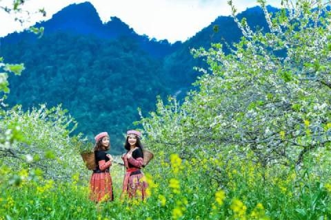 Kinh nghiệm du lịch Mai Châu – Điểm đến tuyệt đẹp Tây Bắc