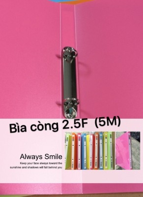 Bìa còng nhẫn 2.5cm nhựa A4