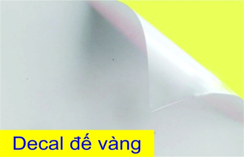 Decal giấy A4 đế vàng