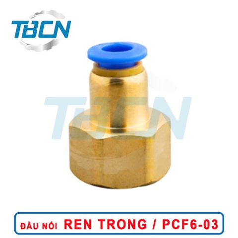 Đầu Nối Nhanh Khí Nén Ren Trong PCF6-03