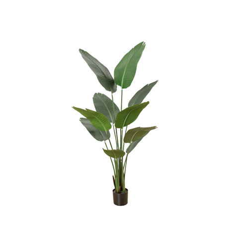 CÂY CHUỐI GIẢ TRANG TRÍ 1M80