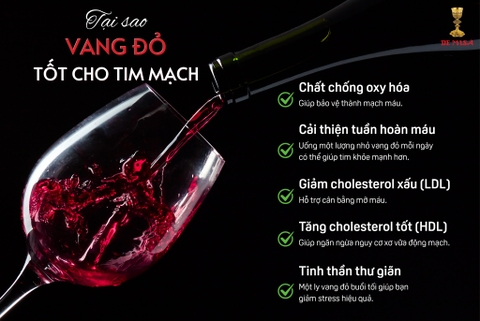 TẠI SAO RƯỢU VANG ĐỎ TỐT CHO TIM MẠCH ?