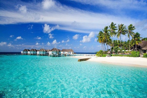 4 ngày 3 đêm du lịch tự túc ở Bali