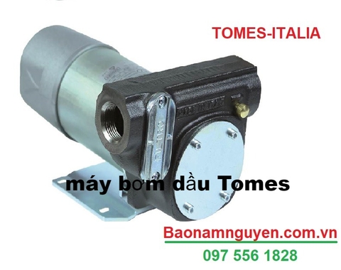 Máy Bơm Dầu 24V TOMES DETP0813 – 99L/phút | Dùng Bình Acquy Xe Tải | Nhập Khẩu Ý