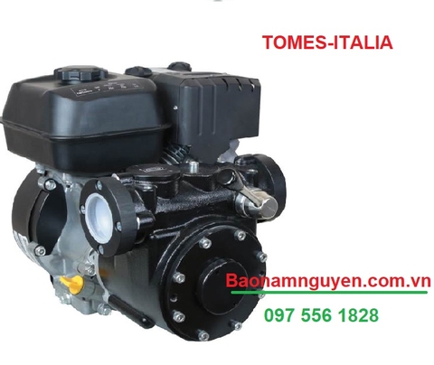 BƠM DẦU GẮN ĐẦU NỔ TOMES MOTOPUMP RP/ Code DMTP0010/ 318 Lp
