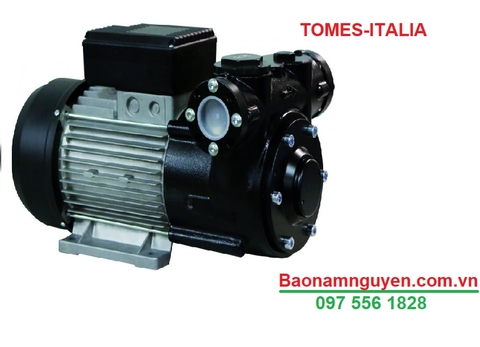 BƠM DẦU TOMES DETP0855-191 L/P 220V