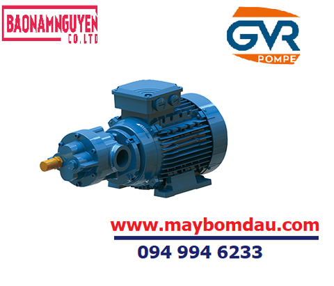 BƠM DẦU BÁNH RĂNG GVR ITALY BMF-BCF-2