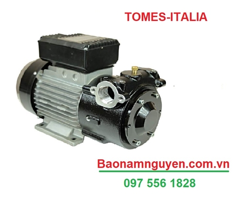 BƠM DẦU TOMES DETP0421 – Bơm Cánh Gạt 157 Lít/Phút | Áp Suất 4 Bar | Điện 230V | Nhập Khẩu Từ Ý