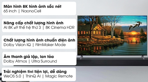 Smart Tivi NanoCell LG 8K 65 inch 65NANO95TNA Model 2020